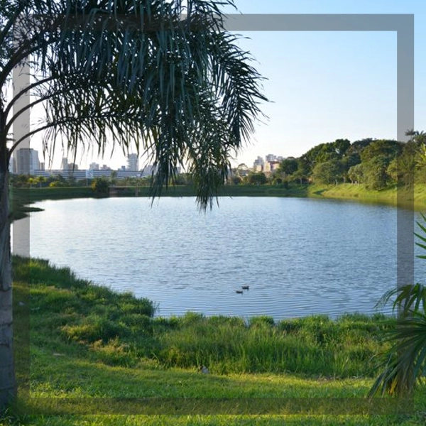 Gás de Cozinha em Santo André - SP Gás de Cozinha em Santo André - SP